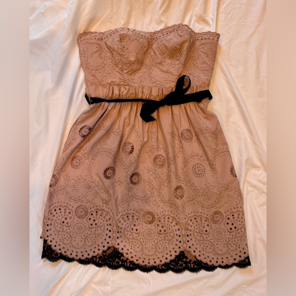 BCBGMaxAzria Strapless Dress in Mauve/Light Pink with Lace and Black Details